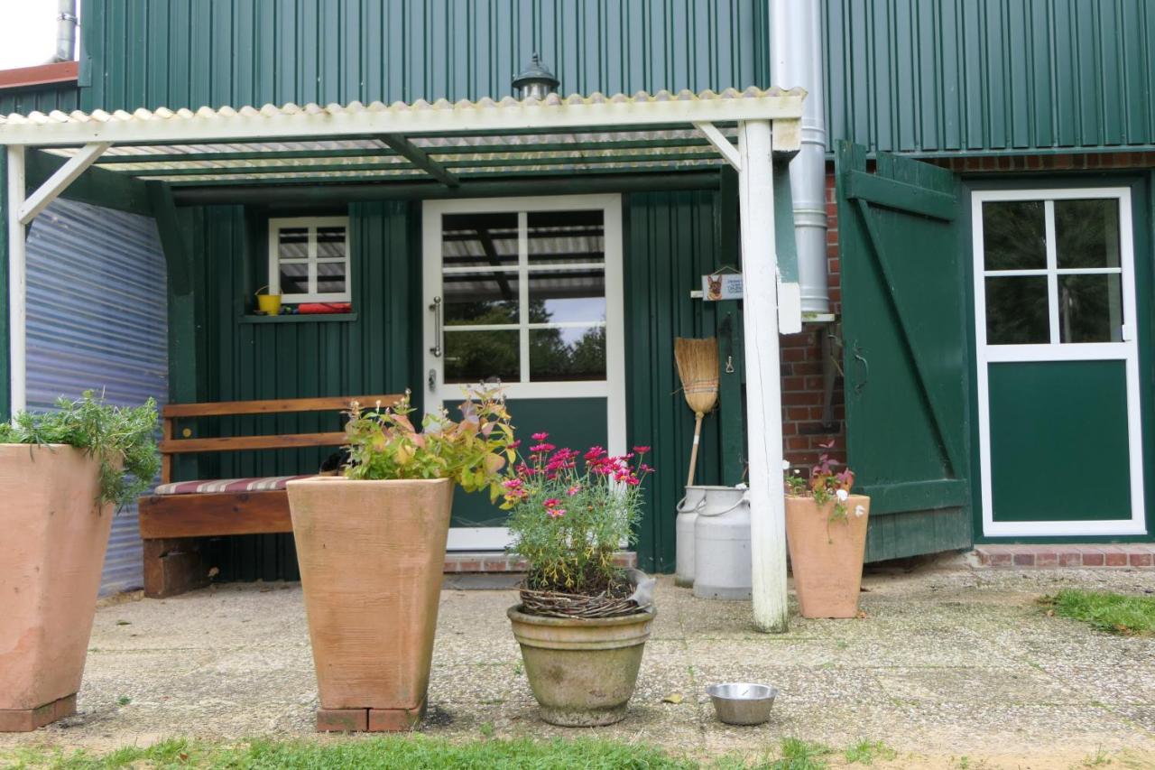Ferienwohnung Weideglück Osten Exterior foto
